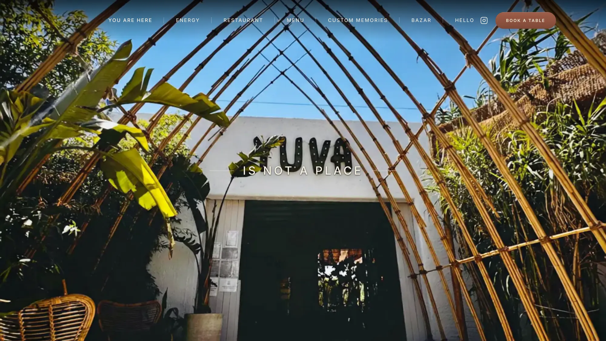 Site-ul Yuva, livrat de Index Studio: pagina de start a unui beach club cu restaurant din Vama Veche